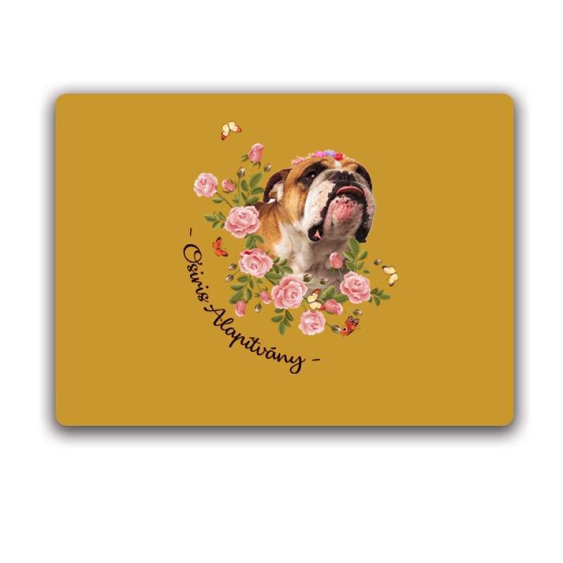 English with Rose Egérpad