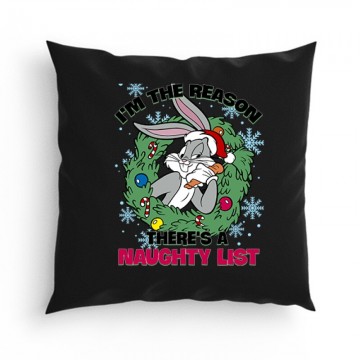 I'm the reason Párna