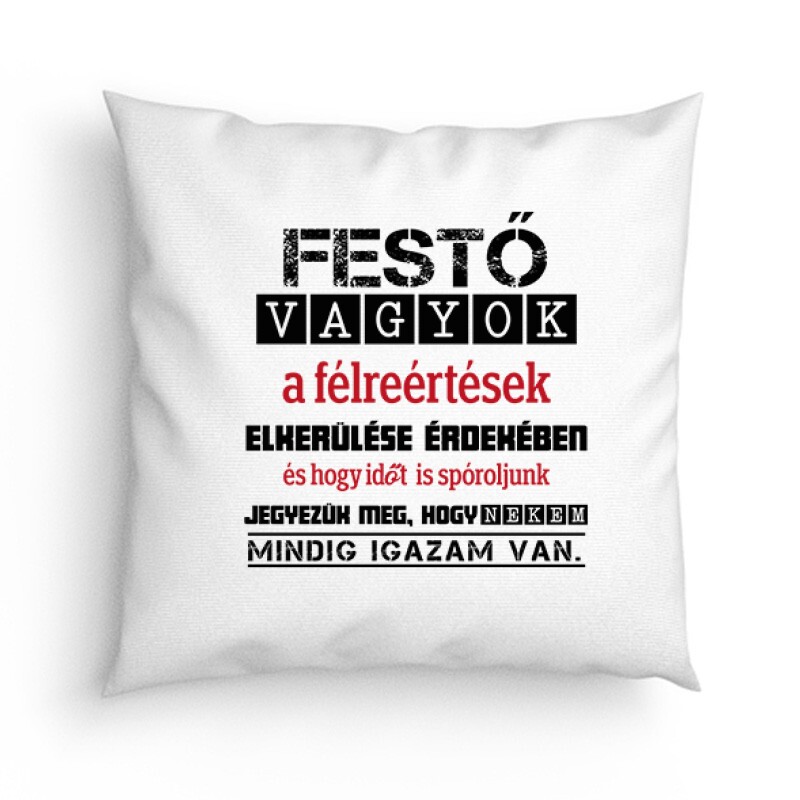 Festő vagyok igazam van Párna