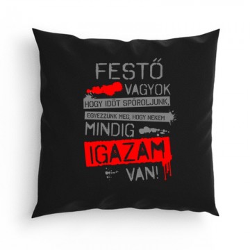 Igazam van ( Festő ) Párna