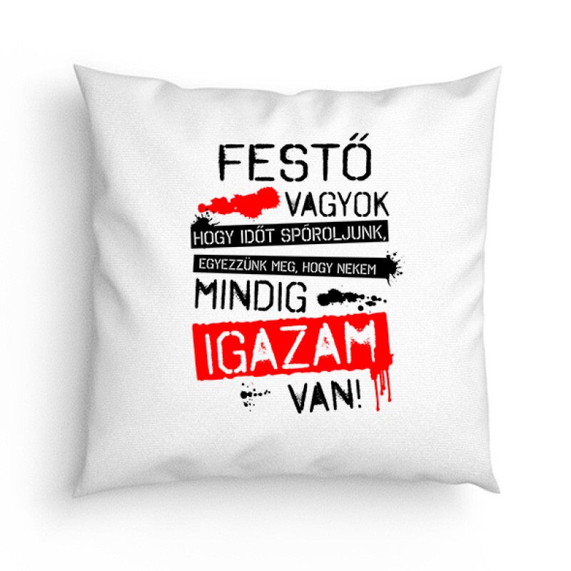 Igazam van ( Festő ) Párna