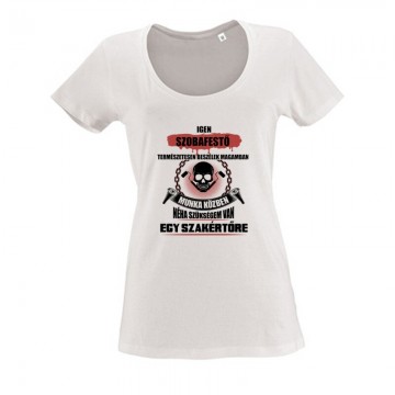 Szakértő festő Női O Nyakú Póló