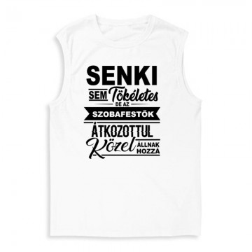 Senki sem tökéletes (festő) Férfi Trikó