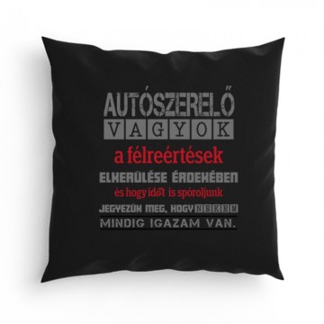 Igazam van autószerelő Párna
