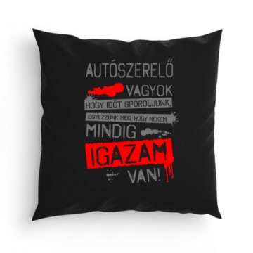 Autószerelő vagyok igazam van Párna