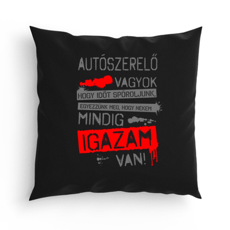 Autószerelő vagyok igazam van Párna