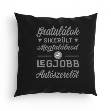 Sikerült megtalálnod (autószerelő) Párna