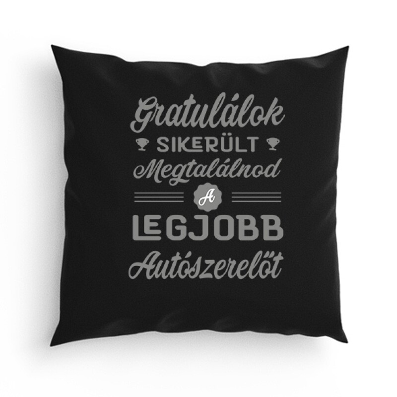 Sikerült megtalálnod (autószerelő) Párna