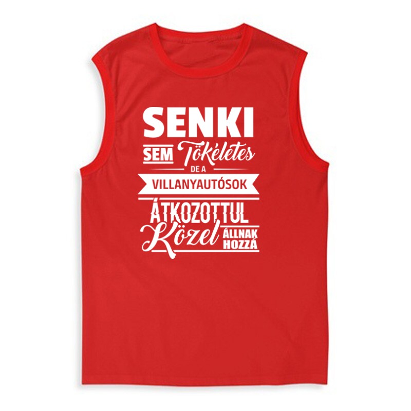 Senki sem tökéletes - villanyautósok Férfi Trikó