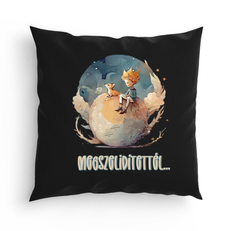 Megszelidítettél Párna