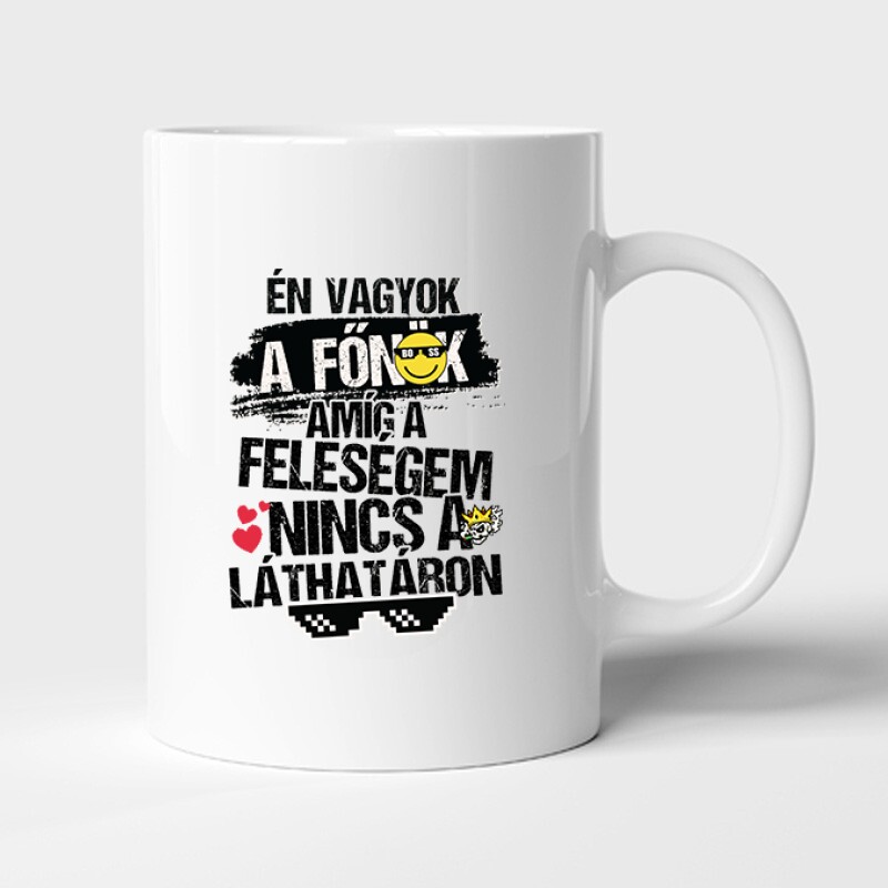 Én vagyok a főnök Bögre