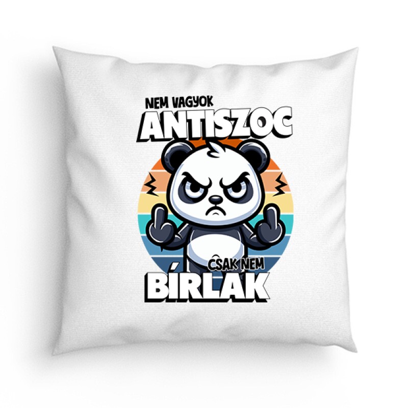 Nem vagyok antiszoc, csak nem bírlak Párna