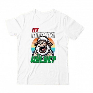 Itt mindenki hülye? Gyermek...