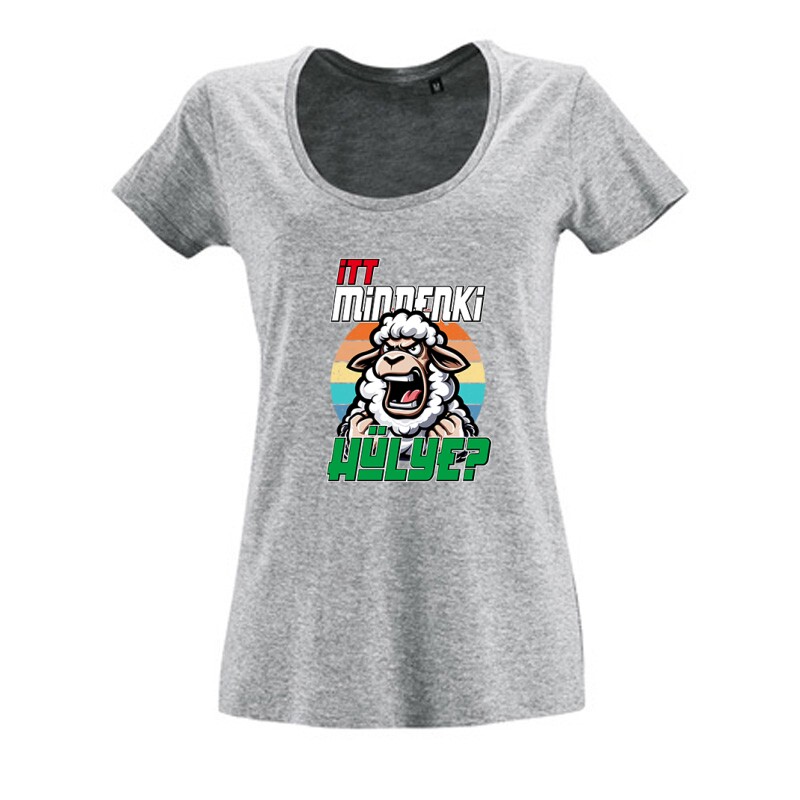 Itt mindenki hülye? Női O Nyakú Póló