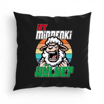 Itt mindenki hülye? Párna