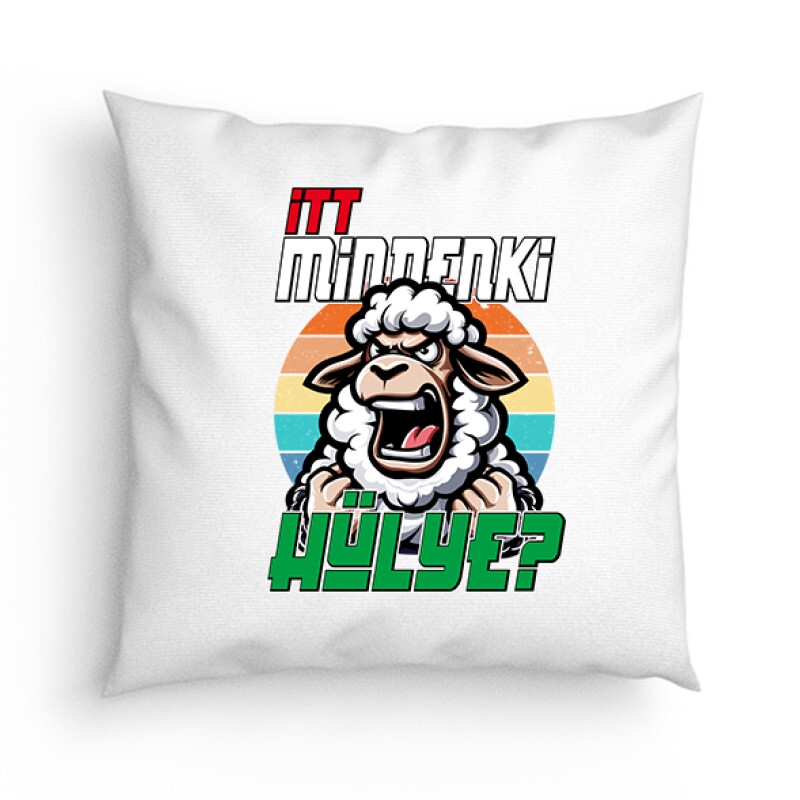Itt mindenki hülye? Párna