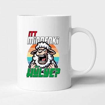 Itt mindenki hülye? Bögre