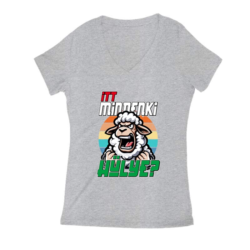 Itt mindenki hülye? Női V Kivágott póló