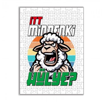 Itt mindenki hülye? Puzzle