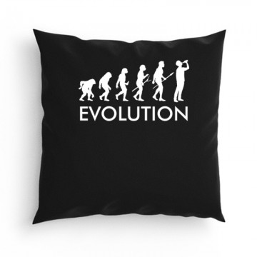 Evolution - Sör Párna