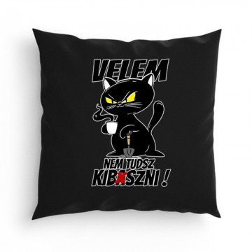 Velem nem tudsz kib*szni Párna