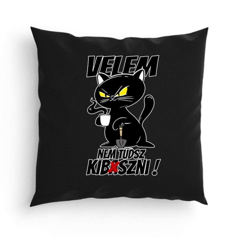 Velem nem tudsz kib*szni Párna