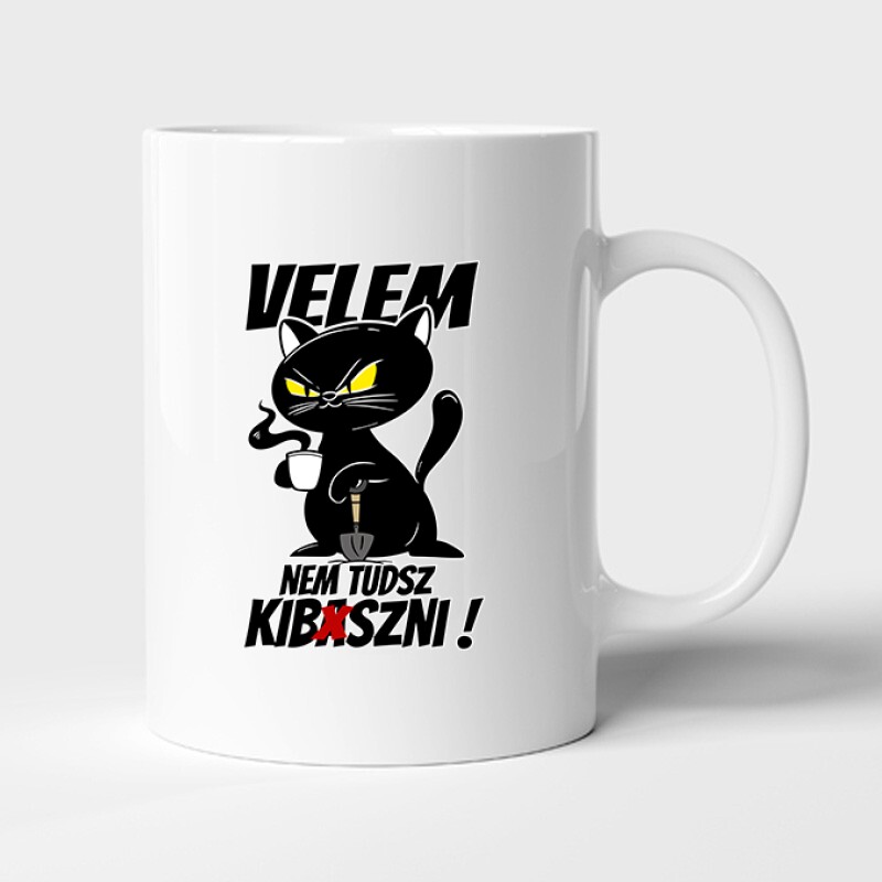 Velem nem tudsz kib*szni Bögre