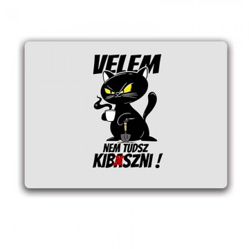 Velem nem tudsz kib*szni...