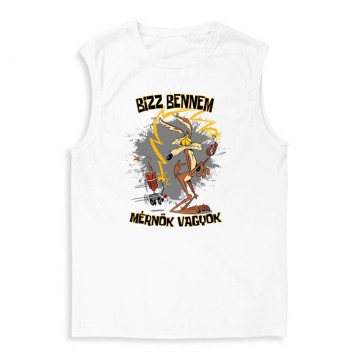 Bízz bennem mérnök vagyok...