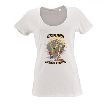 Bízz bennem mérnök vagyok...