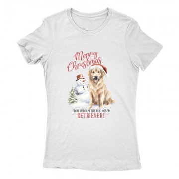 Golden retriever Karácsony...