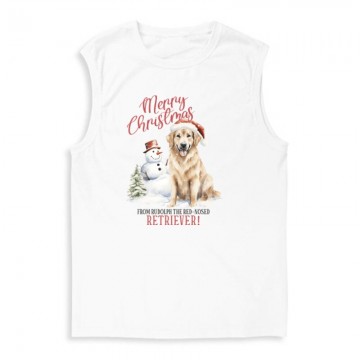 Golden retriever Karácsony...