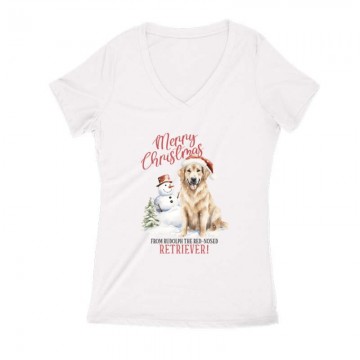 Golden retriever Karácsony...