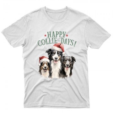 Border collie Karácsony...