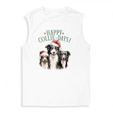 Border collie Karácsony...