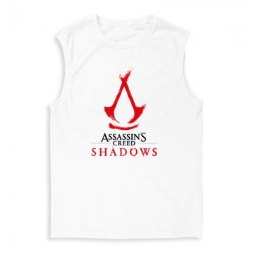 Assassin's Creed Shadows...