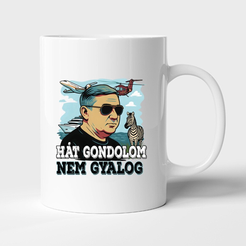 Gondolom nem gyalog (Lölő&zebra) Bögre