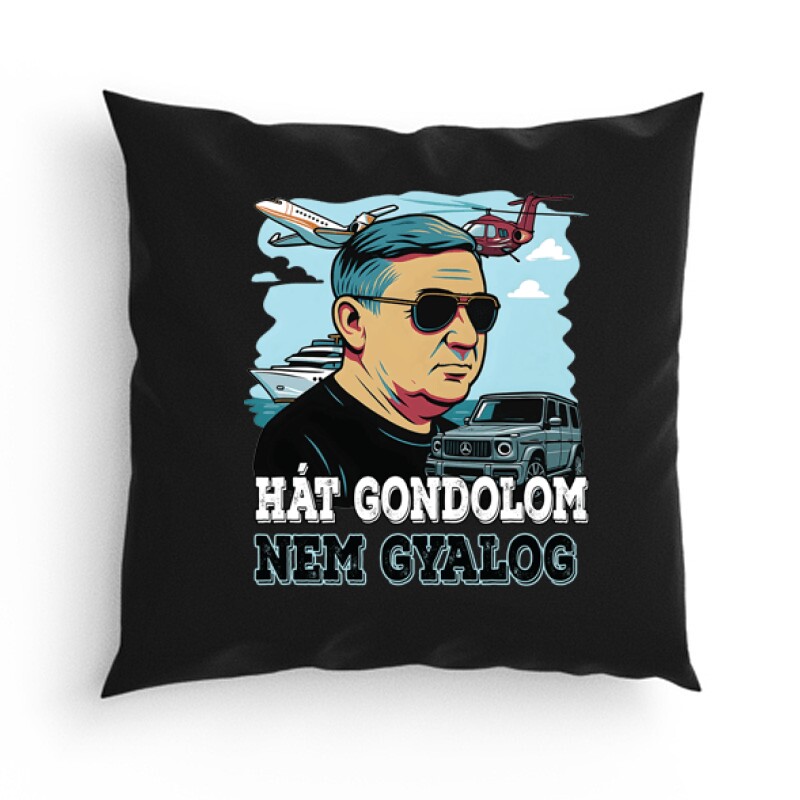 Gondolom nem gyalog (Lölő&luxy) Párna