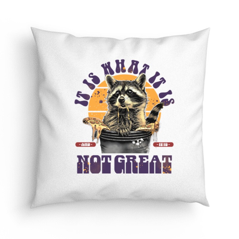 It is What it is Párna