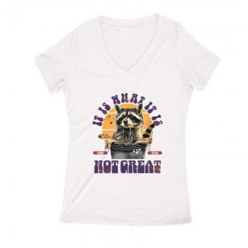 It is What it is Női V...