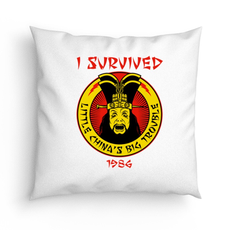 I Survived 1986 Párna