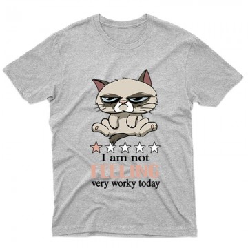 I'm Not Feeling Férfi póló