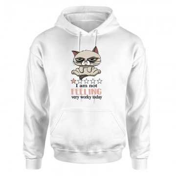 I'm Not Feeling Unisex pulóver