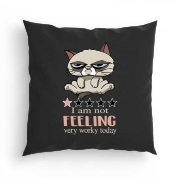 I'm Not Feeling Párna