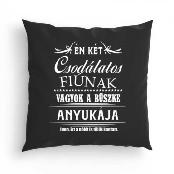 Két Csodaszép Fiú Párna