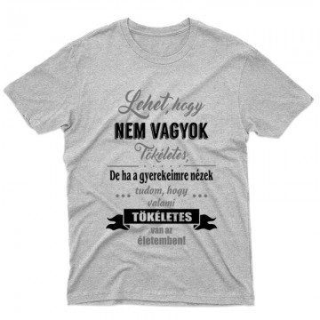 Nem Vagyok Tökéletes Férfi póló