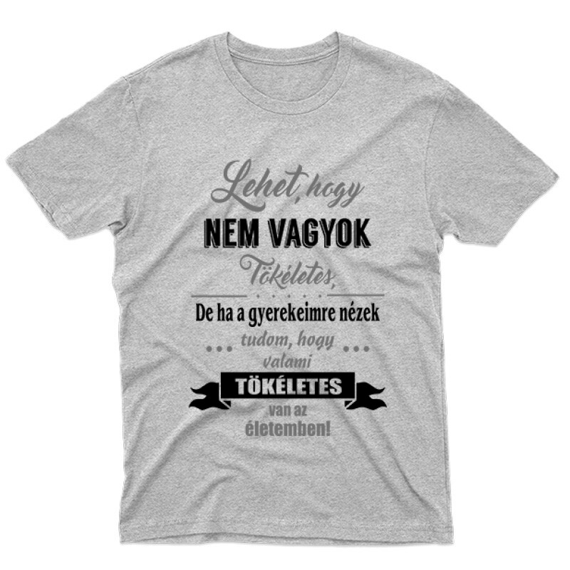 Nem Vagyok Tökéletes Férfi póló