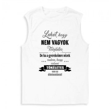 Nem Vagyok Tökéletes Férfi Trikó