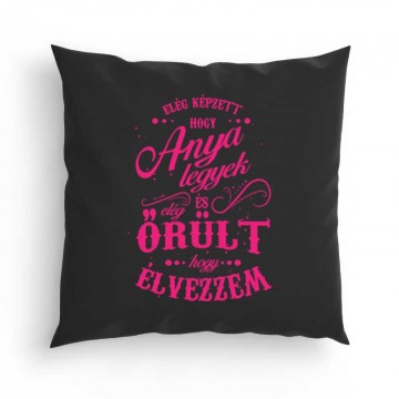 Elég képzett hogy anya legyek Párna