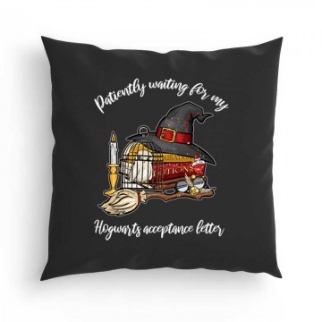 Patiently Waiting(Bagoly) Párna